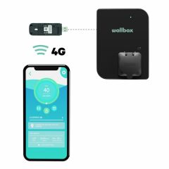 Wallbox Mobile Connectivity